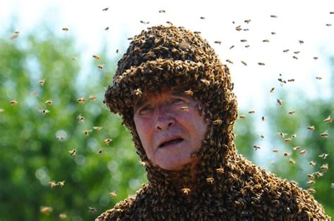 The bee man - Honey bee swarm on fire pit in Kenner, Louisiana. Grant, the homeowner called me out to shake this swarm of Honey Bees from his fire pit in his back yard. Pr...